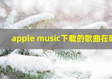 apple music下载的歌曲在哪